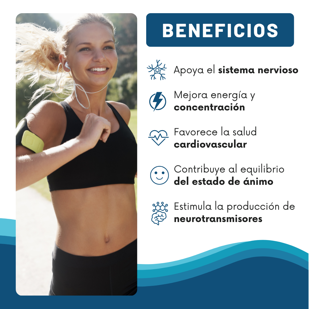 L-Metilfolato + B12: El impulso natural que tu cerebro necesita