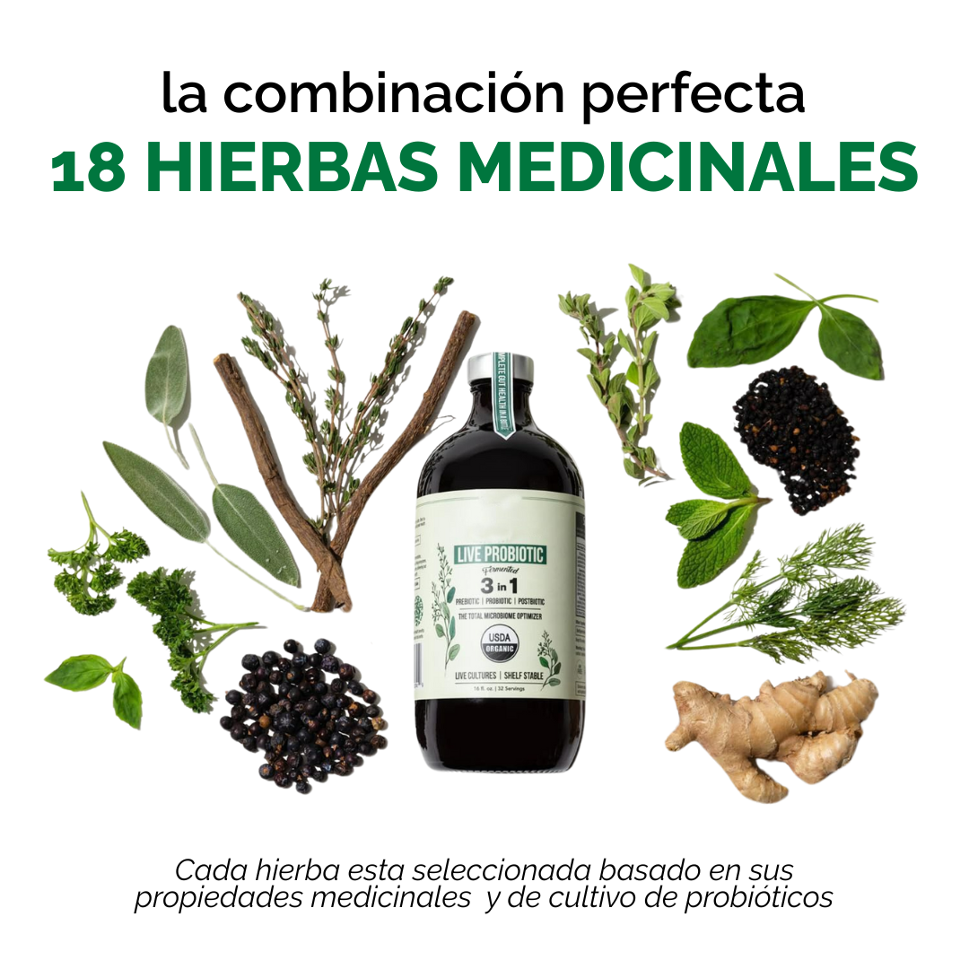 Live Probiotic: Apoya Tu Bienestar Digestivo de Forma Natural