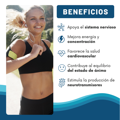 L-Metilfolato + B12: El impulso natural que tu cerebro necesita