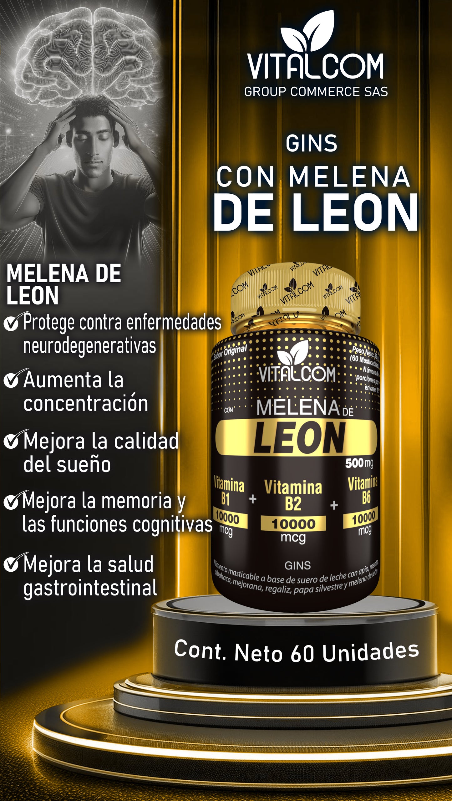 MELENA DE LEÓN SISTEMA NERVIOSO EN CAPSULA